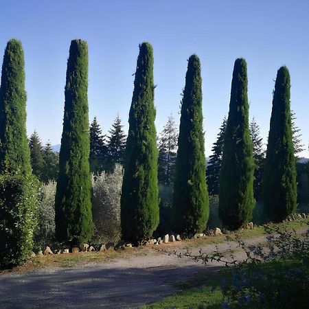 Vila Casa Marconi Vetriano Exteriér fotografie