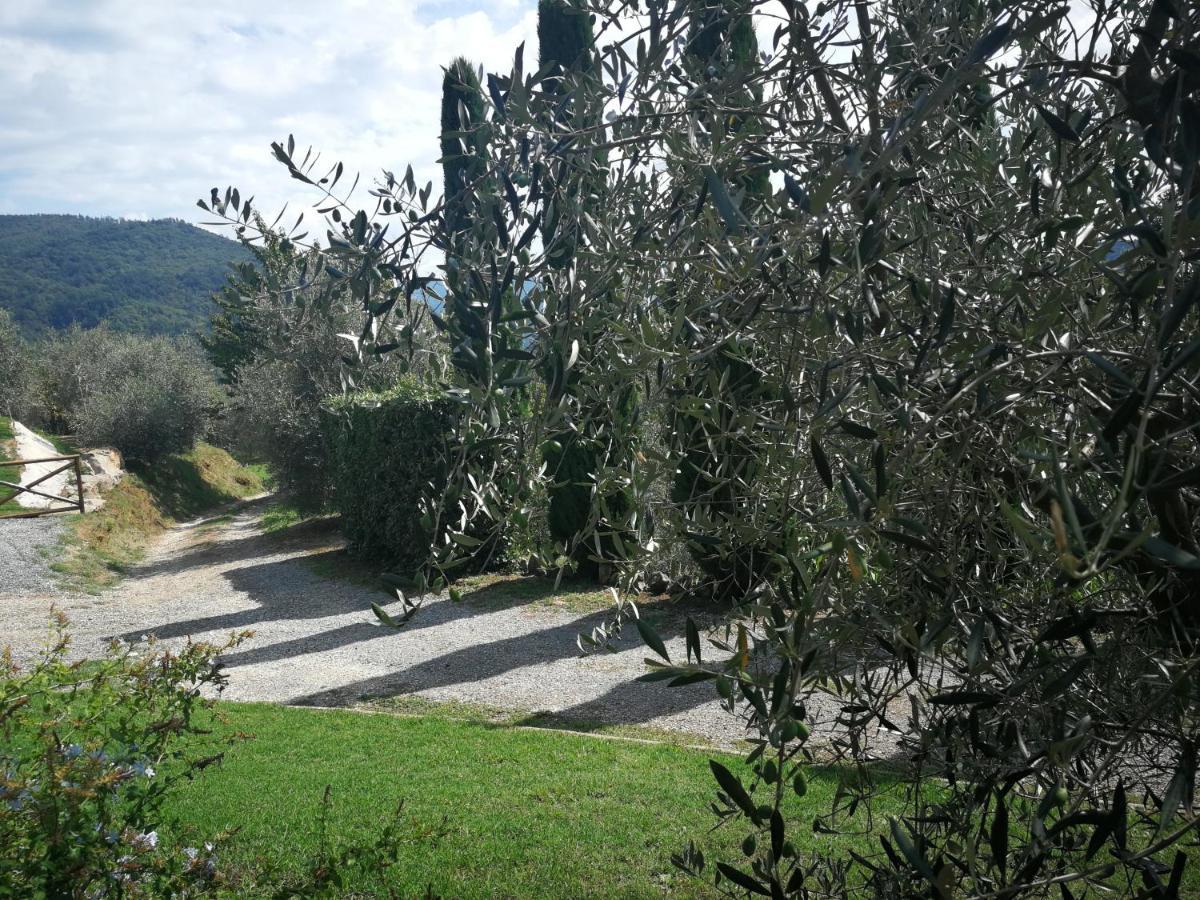 Vila Casa Marconi Vetriano Exteriér fotografie